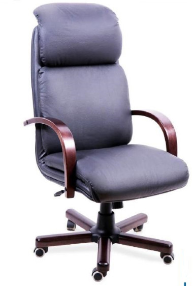 Компьютерное кресло  НАДИР ЭКСТРА (кожа) — Аэлита